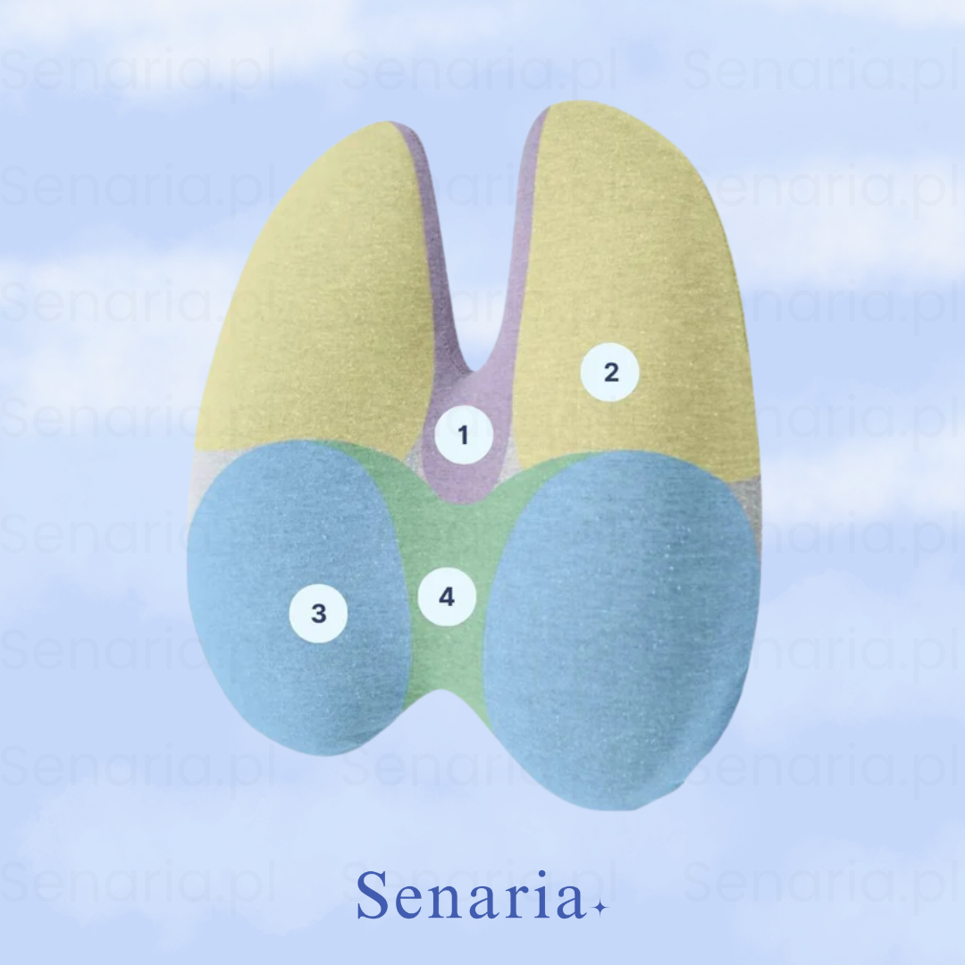 OrtoLumb - Poduszka Lędźwiowa