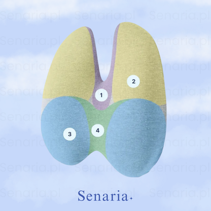 OrtoLumb - Poduszka Lędźwiowa
